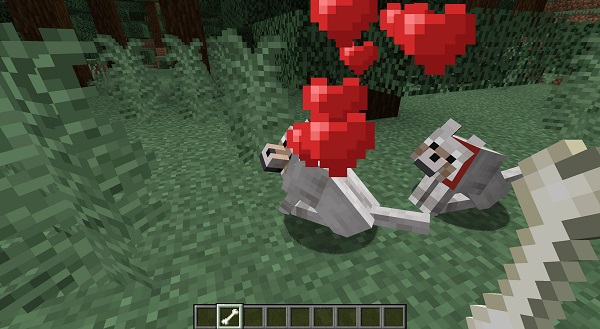 how-to-tame-a-wolf-in-minecraft-easy-guide